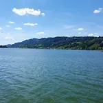 Am Eichwald
