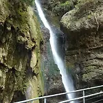 Am Eichwald