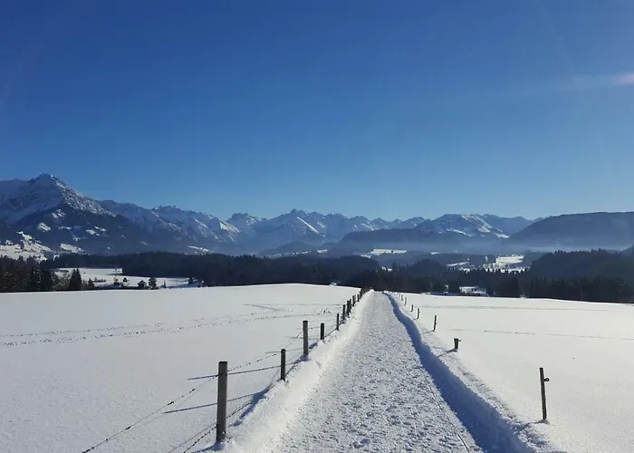 Am Eichwald