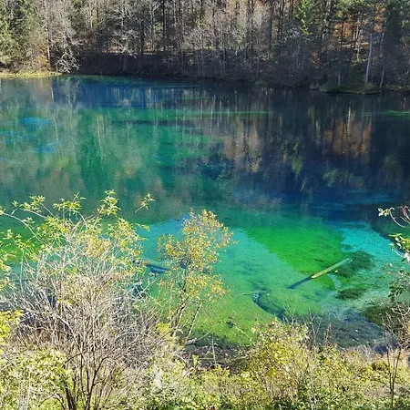 Am Eichwald *