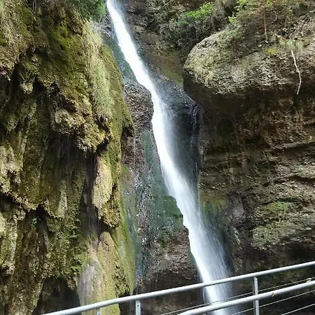 Am Eichwald