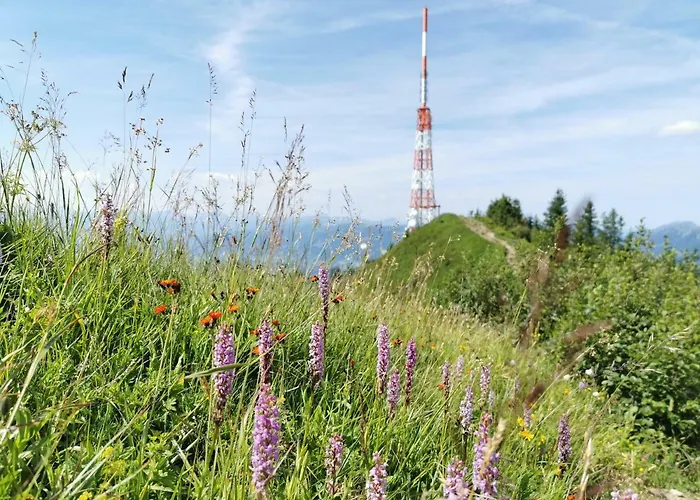 דירה Am Eichwald Immenstadt im Allgäu