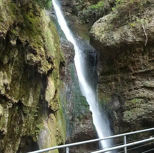 Am Eichwald